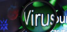 virus