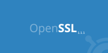 OpenSSL 1.1.1 añade soporte para el protocolo TLS 1.3